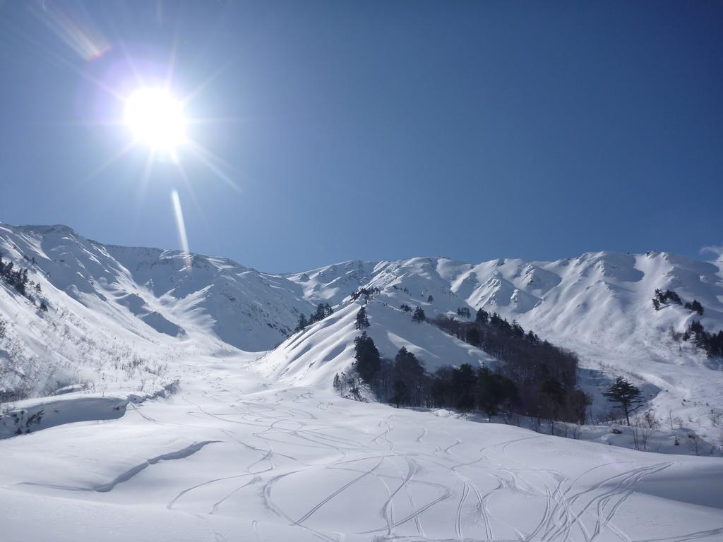 Zen Chalets Hakuba Dış mekan fotoğraf